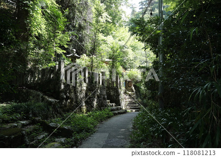 Arima Onsen Healing Forest (Tsuzumigataki Park) [From Arima Onsen Station on the Rokko-Arima Ropeway] / Arimacho, Kita-ku, Kobe City 118081213