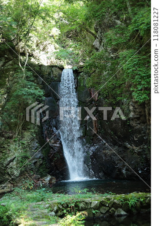 Arima Onsen Healing Forest (Tsuzumigataki Park) [From Arima Onsen Station on the Rokko-Arima Ropeway] / Arimacho, Kita-ku, Kobe City 118081227