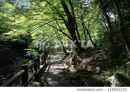 有馬溫泉療癒之林<津瀧公園>[從六甲有馬索道有馬溫泉站出發]/神戶市北區有馬町 118081231