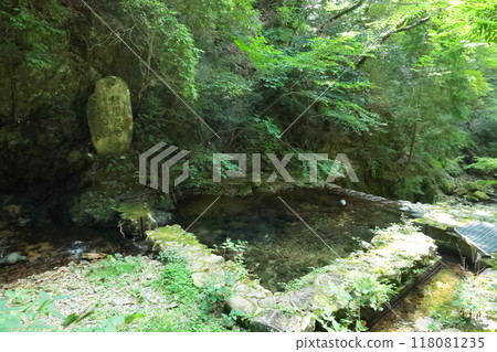 有馬溫泉療癒之林<津瀧公園>[從六甲有馬索道有馬溫泉站出發]/神戶市北區有馬町 118081235