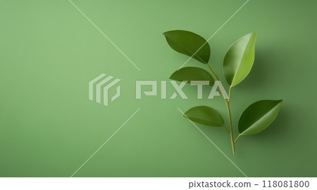 Flourishing Green Leaves Symbolizing Business Growth and Innovation Flourishing Green Leaves Symbolizing Business Growth and Innovation 118081800