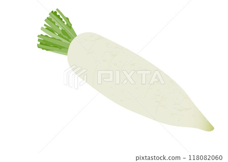 蘿蔔手繪風格插畫 118082060