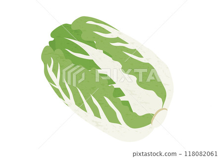 大白菜手繪風格插畫 118082061
