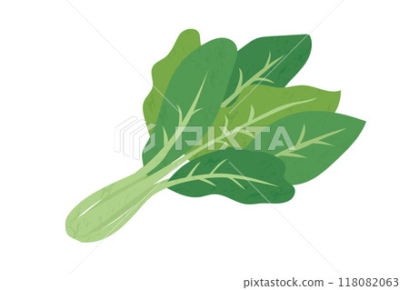 小鬆的手繪風格插圖 小鬆的手繪風格插圖 118082063