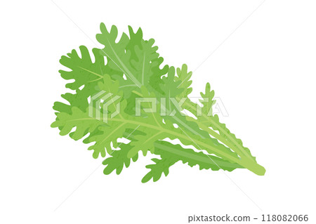 Hand-drawn illustration of chrysanthemum Hand-drawn illustration of chrysanthemum 118082066