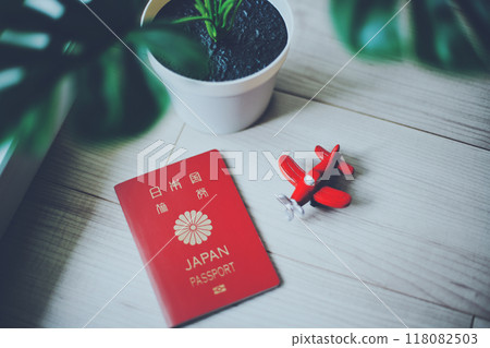 Japanese passport and red plane 118082503