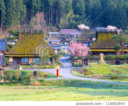 Spring scenery of Miyama Kayabuki Village, Mackerel Highway, "Nationally designated Important Preservation District for Groups of Traditional Buildings" / Retro red round post 118082643