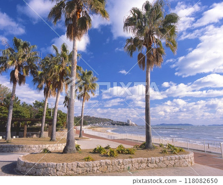 The tropical atmosphere of Tofune Coast in Ako Misaki and the Ieshima Islands in the distance / "Setonaikai National Park" The tropical atmosphere of Tofune Coast in Ako Misaki and the Ieshima Islands in the distance / "Setonaikai National Park" 118082650