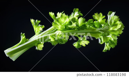 Fresh Celery Stalks Displayed Against a Dark Fresh Celery Stalks Displayed Against a Dark 118083198
