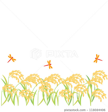成熟的稻子、稻穗和紅蜻蜓的插圖，長寬比1:1版本 118084406