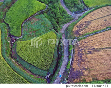 稻米收割前後的鳥瞰圖 稻米收割前後的鳥瞰圖 118084411