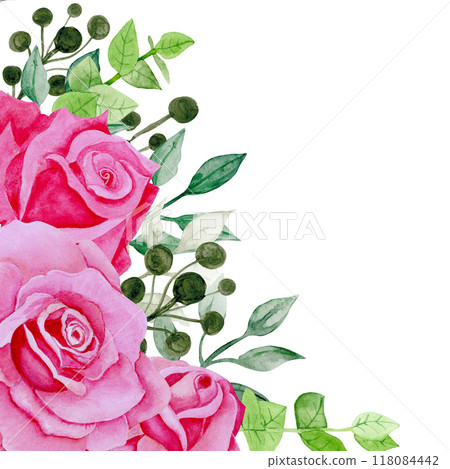 Isolated object-124. Bouquet of pink roses 8, watercolour illustration. 118084442