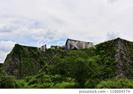 Fresh greenery at Sasayama Castle ruins Fresh greenery at Sasayama Castle ruins 118084574