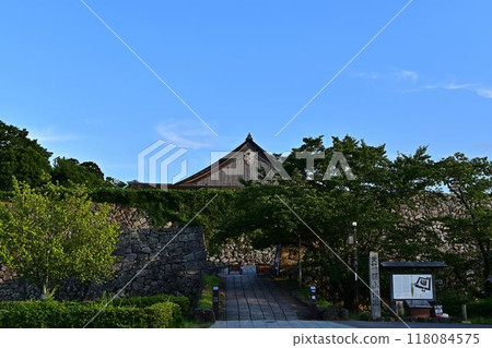 Fresh greenery at Sasayama Castle ruins 118084575