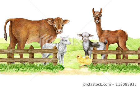 Farm animals on a green field protected by wooden fence. Vintage style illustration. Hand drawn cow, sheep, goat, llama, chicken standing behind border. Farm animals on the pasture countryside image 118085933