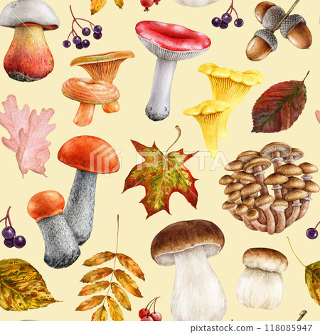 Autumn forest bright mushrooms, fallen tree leaves seamless pattern design in warm colors. Watercolor vintage style illustration. Painted edible woodland mushroom, autumn leaves, berries elements Autumn forest bright mushrooms, fallen tree leaves seamless pattern design in warm colors. Watercolor vintage style illustration. Painted edible woodland mushroom, autumn leaves, berries elements 118085947