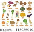 Autumn vegetable illustration set 118086010