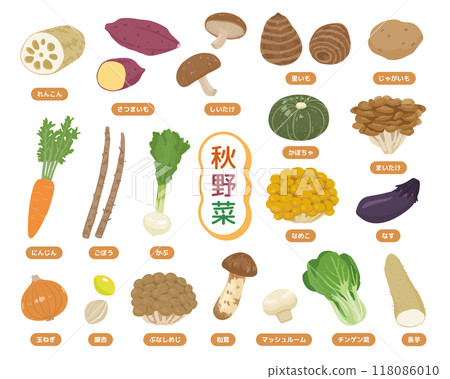 秋季蔬菜插圖集 118086010