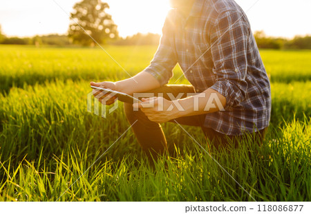 Young farmer with a modern tablet on a green wheat field. Agriculture concept. Young farmer with a modern tablet on a green wheat field. Agriculture concept. 118086877