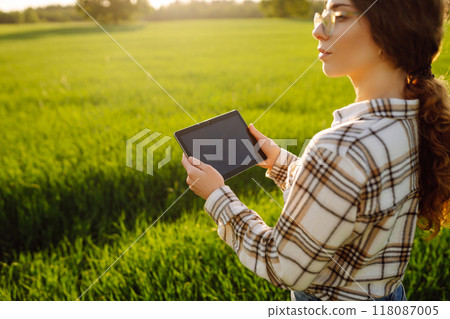 A woman farmer with modern tablet evaluates the shoots with her hand. Farm work with digital tablet. A woman farmer with modern tablet evaluates the shoots with her hand. Farm work with digital tablet. 118087005