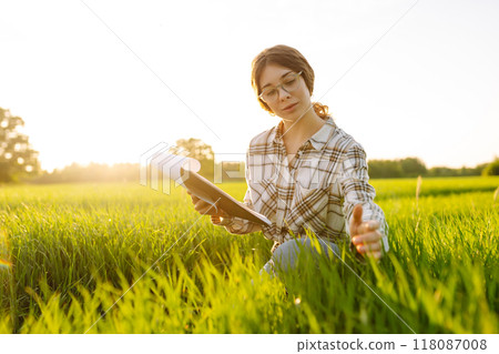 Woman agronomist in field of milled wheat with tablet checks growth of crop. Harvest concept. 118087008