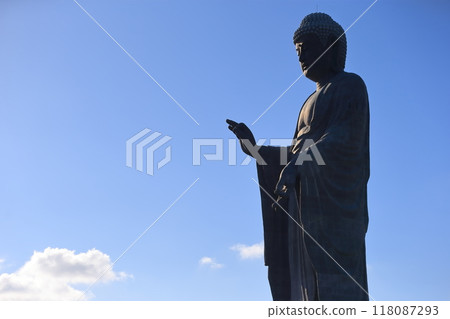 Ushiku Buddha (Ushiku City, Ibaraki Prefecture) 118087293