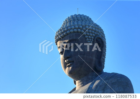 Ushiku Buddha (Ushiku City, Ibaraki Prefecture) 118087533