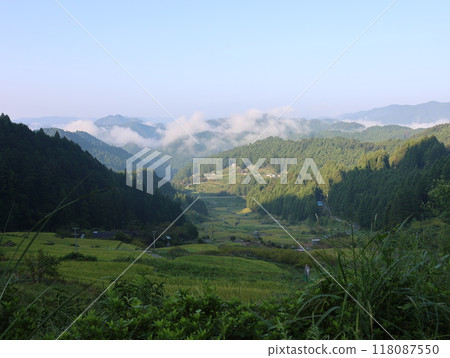 四谷千枚田鳥瞰圖，夏日早晨的風景 118087550