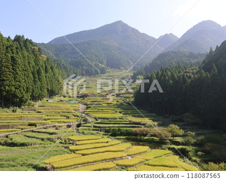 四谷千枚田鳥瞰圖,夏日早晨的風景 四谷千枚田鳥瞰圖,夏日早晨的風景 118087565