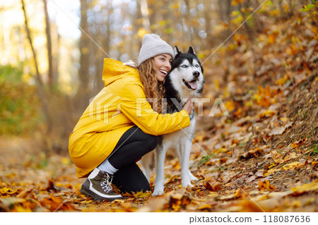 Beautiful young woman in a yellow coat walks in an autumn park with her pet husky. Beautiful young woman in a yellow coat walks in an autumn park with her pet husky. 118087636