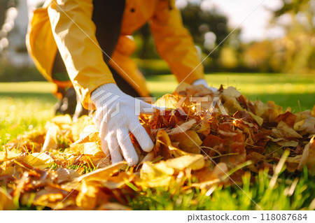 Human cleans the autumn park from yellow leaves. Volunteering, cleaning, and ecology concept. Human cleans the autumn park from yellow leaves. Volunteering, cleaning, and ecology concept. 118087684