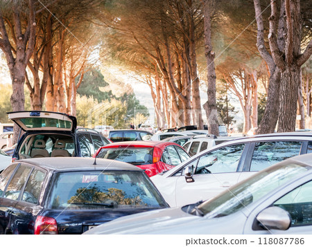 Parked cars under tree canopy on sunny day Parked cars under tree canopy on sunny day 118087786