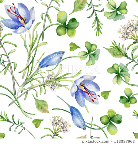 Clover, blue saffron and white labrador tea flowers watercolor seamless pattern isolated. Wildflowers and flying leaves hand drawn on botanical repeated background. Design textile with lucky symbol. Clover, blue saffron and white labrador tea flowers watercolor seamless pattern isolated. Wildflowers and flying leaves hand drawn on botanical repeated background. Design textile with lucky symbol. 118087968