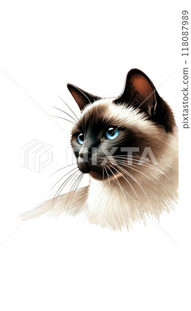 泰國暹羅的彩色影像。具有重點色和藍色眼睛。 泰國暹羅的彩色影像。具有重點色和藍色眼睛。 118087989