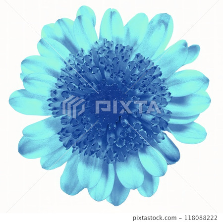 Flower shape isolated over solid background. Flower close view clipart template Flower shape isolated over solid background. Flower close view clipart template 118088222