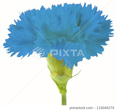 Flower shape isolated over solid background. Flower close view clipart template Flower shape isolated over solid background. Flower close view clipart template 118088278