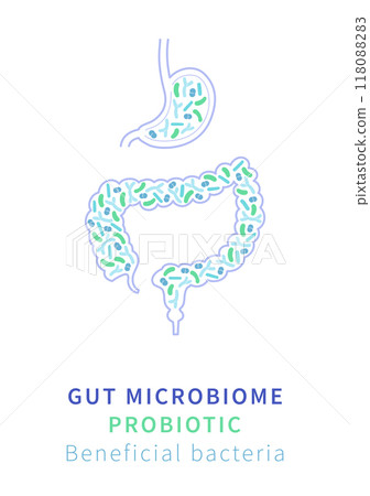 Gut Microbiome and Probiotics. Beneficial Bacteria for Digestive Health 118088283
