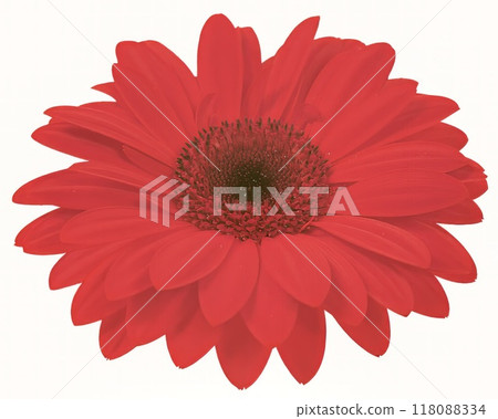 Flower shape isolated over solid background. Flower close view clipart template Flower shape isolated over solid background. Flower close view clipart template 118088334