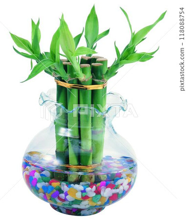 Potted flowers and plants isolated over white background 118088754