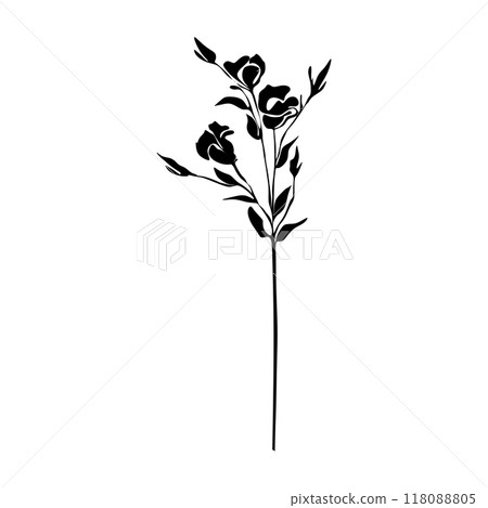 Lisianthus Black and white silhouette. Botanical Black silhouette isolated on white background 118088805
