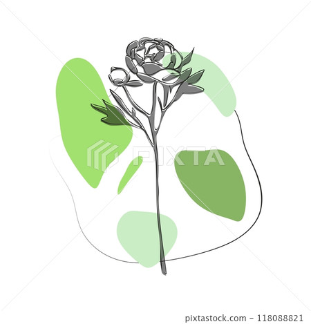 Peony for logo, decorations, card. invitation. Hand drawn transparent line and silhouette Peony for logo, decorations, card. invitation. Hand drawn transparent line and silhouette 118088821
