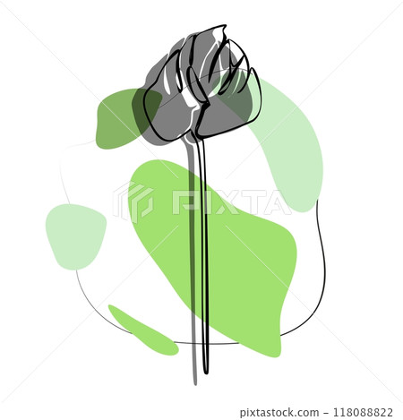 Anthurium for logo, decorations, card. invitation. Hand drawn transparent line and silhouette background Anthurium for logo, decorations, card. invitation. Hand drawn transparent line and silhouette background 118088822