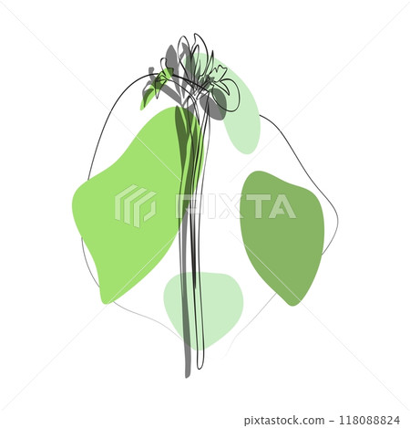 Iris for logo, decorations, card. invitation. Hand drawn transparent line and silhouette background Iris for logo, decorations, card. invitation. Hand drawn transparent line and silhouette background 118088824