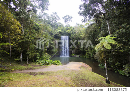 Waterfall in the forest 118088875