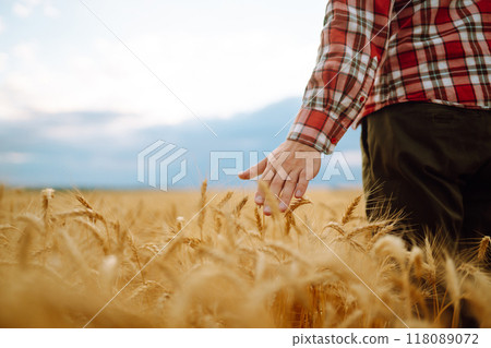 Silhouette of gronomist farmer in golden wheat field. Agricultural growth. farming business concept Silhouette of gronomist farmer in golden wheat field. Agricultural growth. farming business concept 118089072