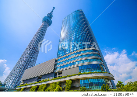 Tokyo cityscape in Japan, with Tokyo Skytree and other sights shining against the greenery (September 6th) 118089074