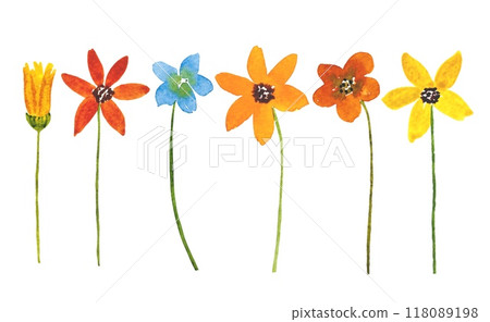 Set with meadow summer flowers, watercolor illustration Set with meadow summer flowers, watercolor illustration 118089198