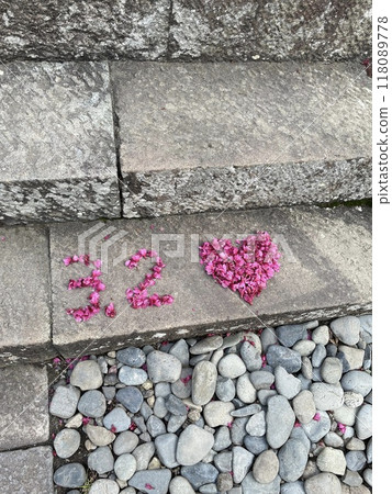 March 2 March 2 118089778