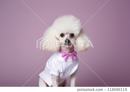 pet dog wear white shirt for mockup, generative AI 118090119