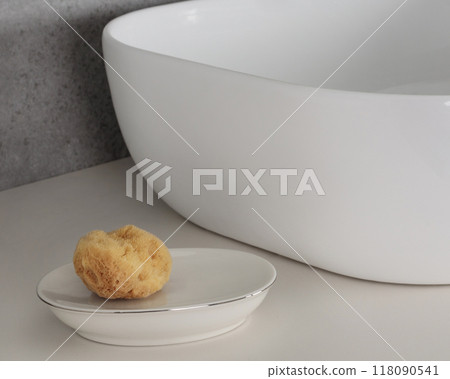 Minimalist Bathroom Sponge and Basin Setup 118090541